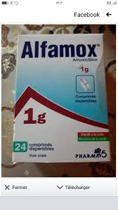 	ALFAMOX 1000MG SACHET 