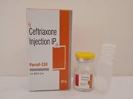 CEFTRIAXONE 250MG AMP INJ