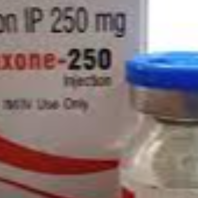 Ceftriaxone SP 250 mg Injectable